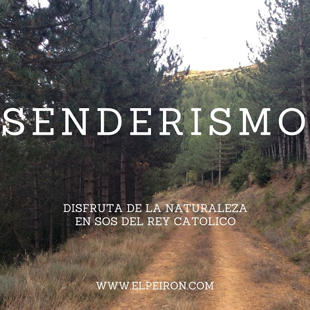 Senderismo desde Sos del Rey Católico